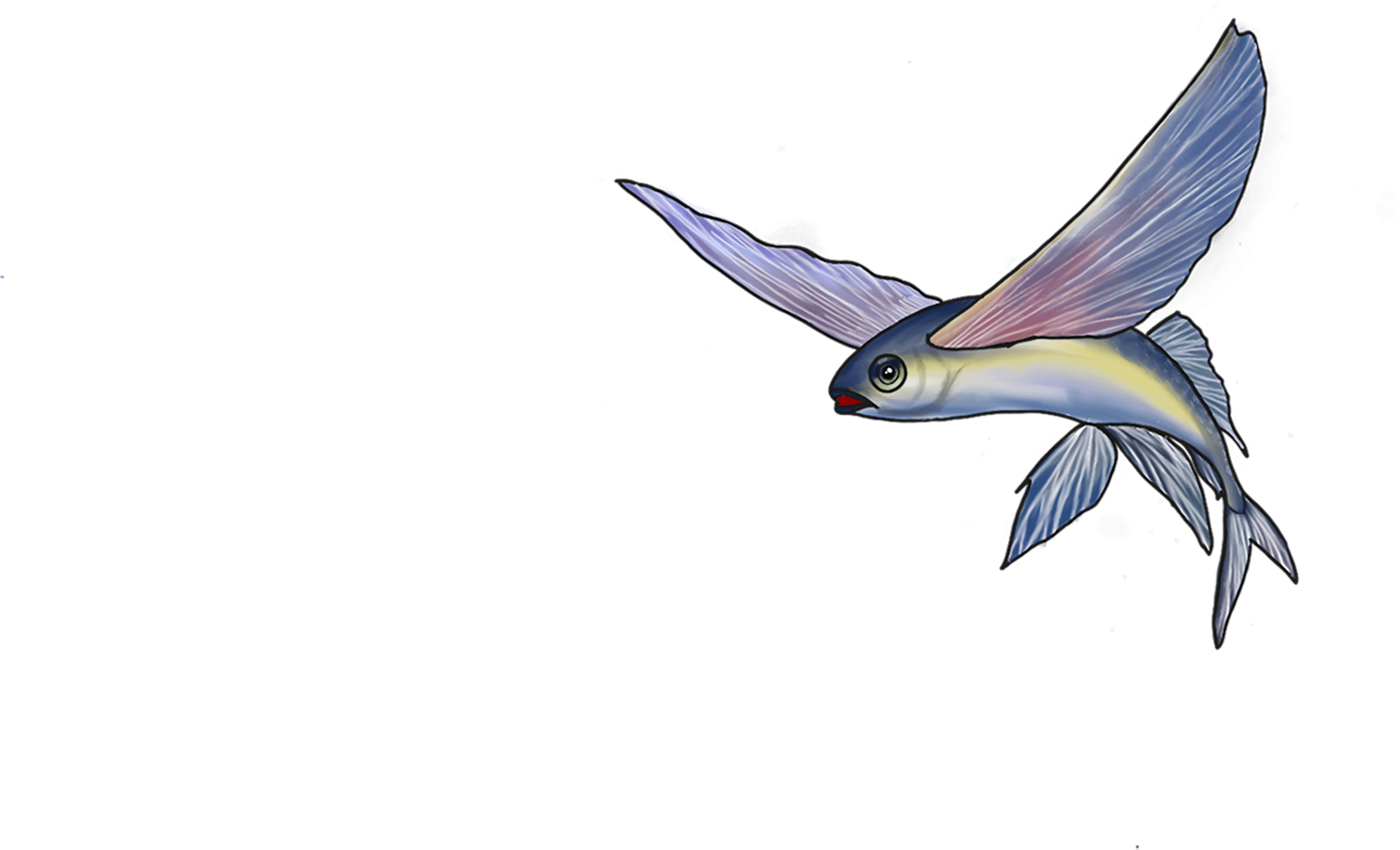 AQUATIC FLIGHT: FIN TO FACADE