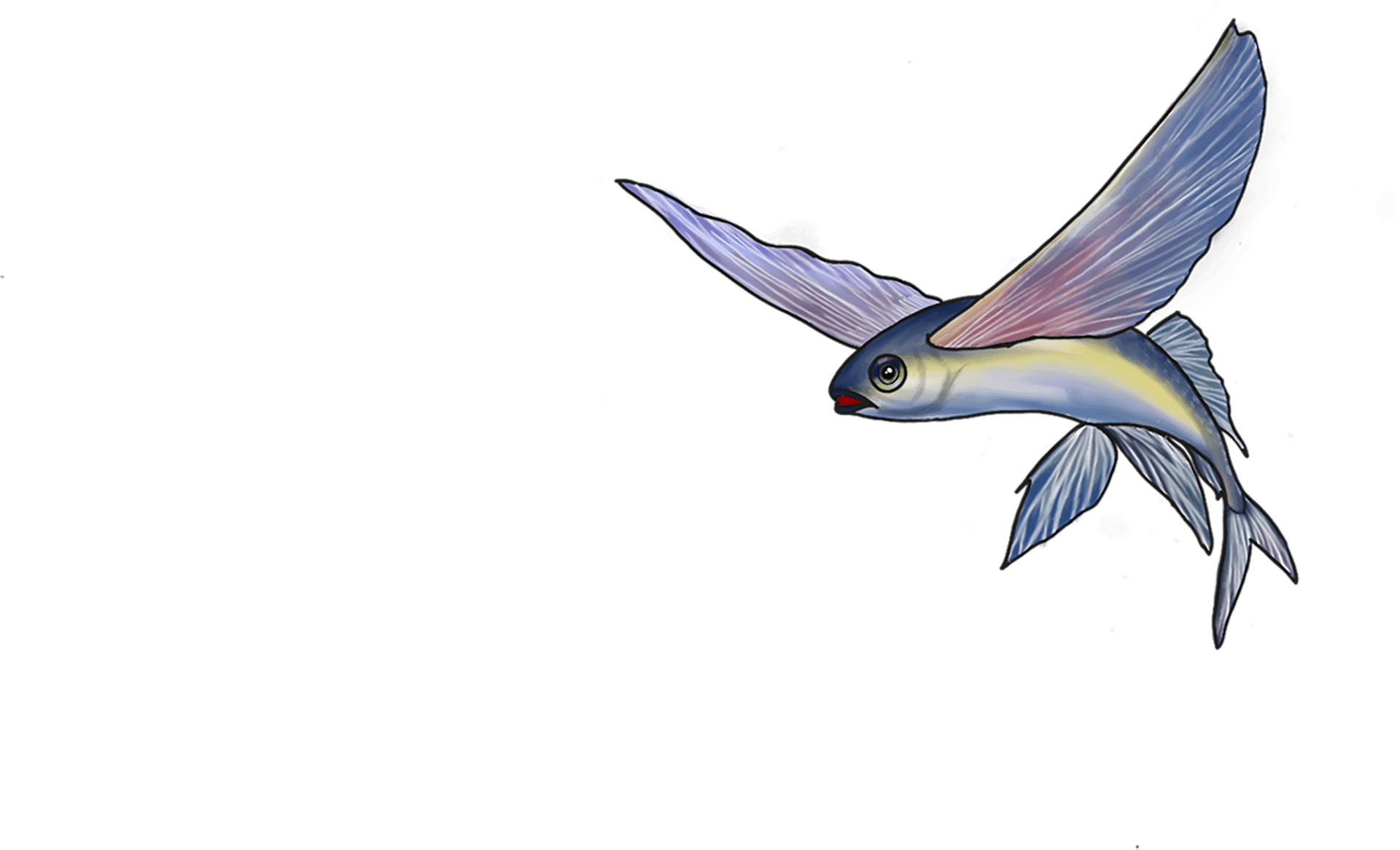 AQUATIC FLIGHT: FIN TO FACADE